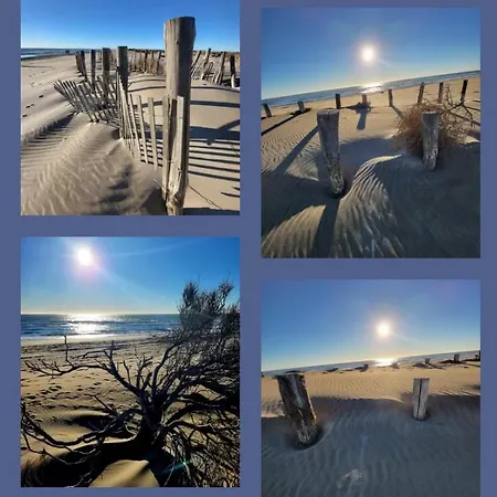 Kamp alanı La Petite Camargue *